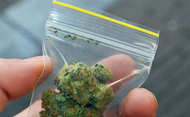 Марихуана в зип-пакете