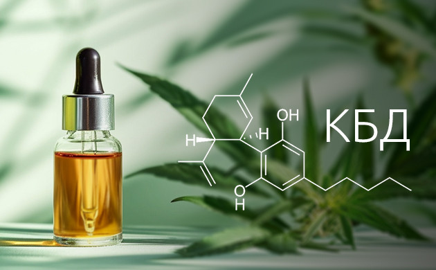 КБД и его влияние на организм