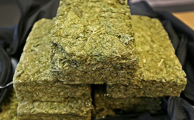 Процесс заготовки прессованного каннабиса