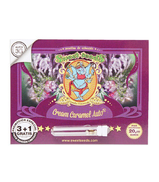 Cream Caramel Auto fem (Sweet Seeds)