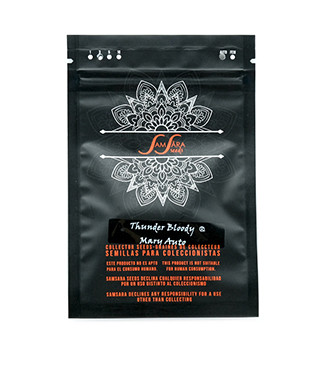 Thunder Bloody Mary Auto fem (Samsara Seeds)