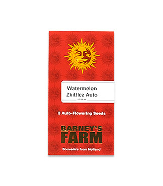Watermelon Zkittlez Auto fem (Barney's Farm)