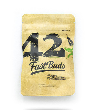 Original Auto Cheese fem (FastBuds)