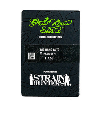 Big Bang Auto fem (GHS)