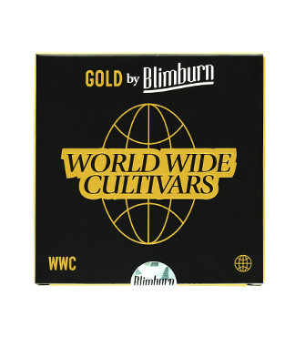 Fat Bastard Auto fem (Blimburn Seeds)