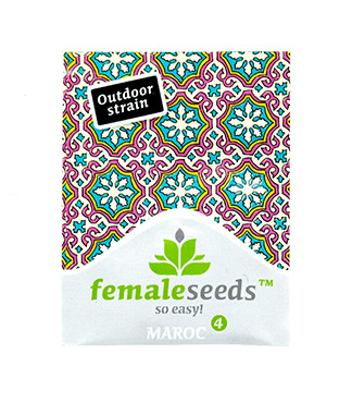 Maroc fem (Female Seeds)