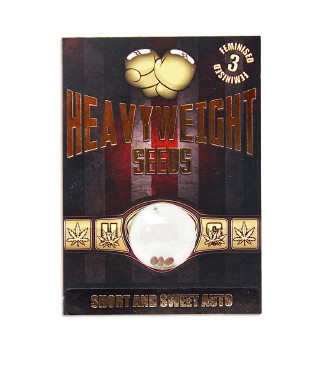 Short & Sweet Auto fem (Heavyweight Seeds)