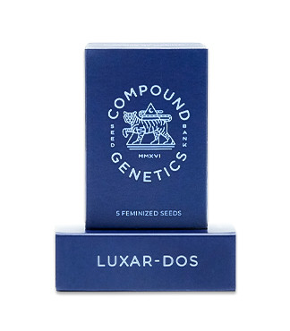 Luxar-Dos fem (Compound Genetics)