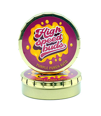 Purple Punch Auto fem (High Speed ​​Buds)