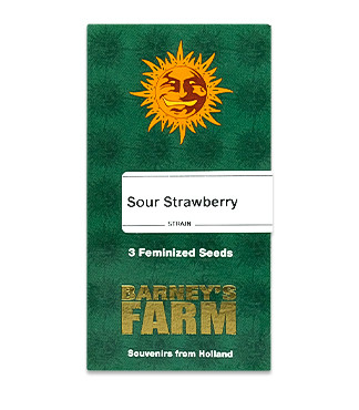 Sour Strawberry fem (Barney's Farm)