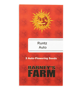 Runtz Auto fem (Barney's Farm)