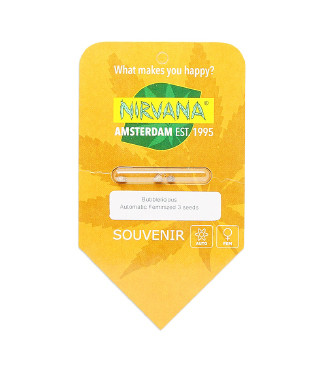 Bubblelicious Automatic fem (Nirvana Seeds)