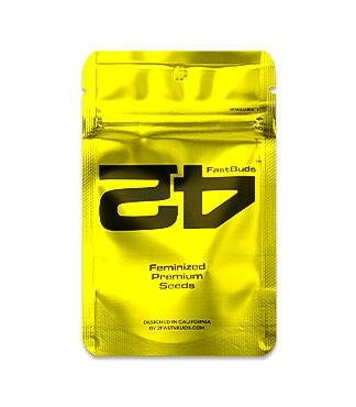 Lemon Cherry Runtz fem (FastBuds)