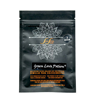 Green Love Potion fem (Samsara Seeds)