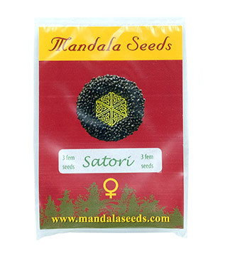 Satori fem (Mandala Seeds)