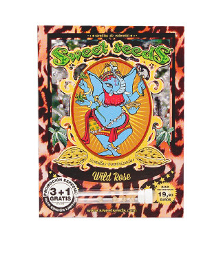 Wild Rose fem (Sweet Seeds)