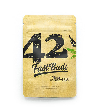 Original Auto Critical fem (FastBuds)