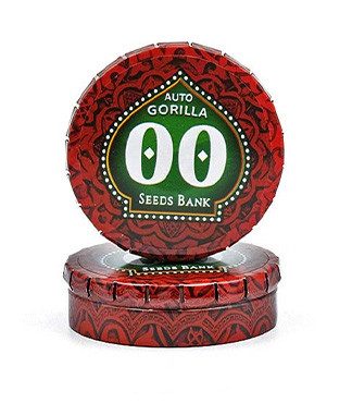 Auto Gorilla fem (00 Seeds)