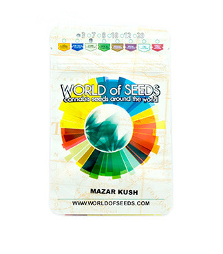Mazar Kush fem (World of Seeds)