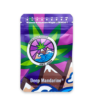 Deep Mandarine CBD fem (Delicious Seeds)
