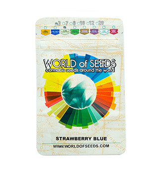 Strawberry Blue fem (World of Seeds)