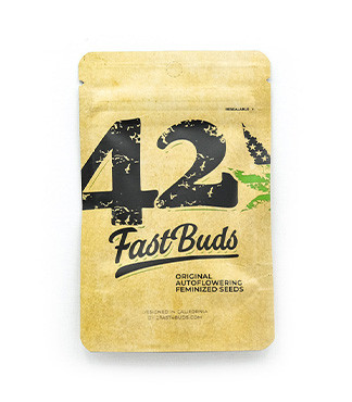 Original Cinderella Auto fem (FastBuds)