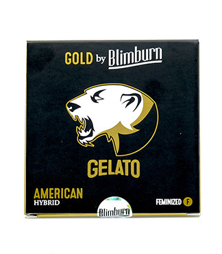 Gelato fem (Blimburn Seeds)