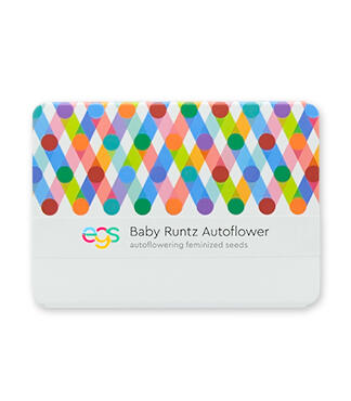 Baby Runtz Autoflower fem (Easy Grow Seeds)