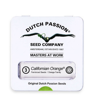 Californian Orange fem (Dutch Passion)
