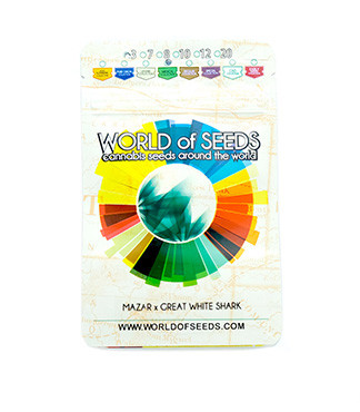 Mazar X Great White Shark fem (World of Seeds)