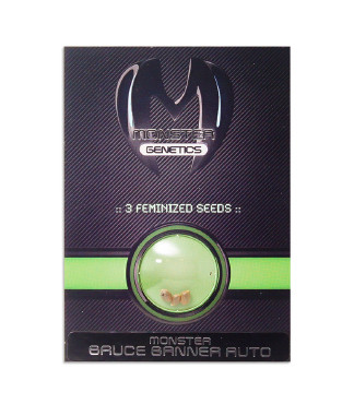 Bruce Banner Auto fem (Monster Genetics)