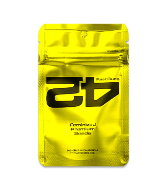 Rainbow Melon fem (FastBuds)