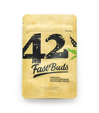 Original Big Bud Auto fem (FastBuds)
