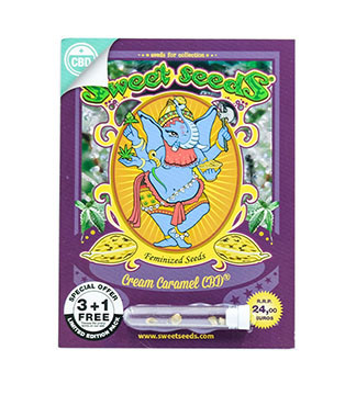 Cream Caramel CBD fem (Sweet Seeds)