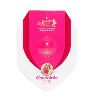 Chocolate Haze fem (RQS)