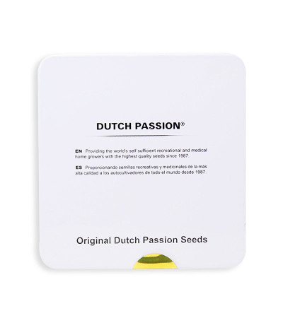 Семена конопли CBD Charlotte’s Angel в упаковке производителя