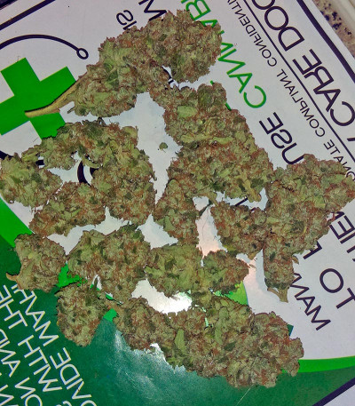 Семена сорта Misty Kush fem