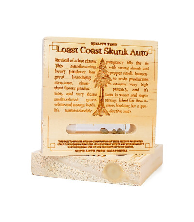 Семена сорта Lost Coast Skunk Auto fem (Humboldt Seeds)