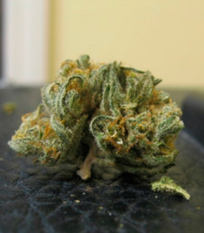 Семена сорта White Berry fem (VIP Seeds)