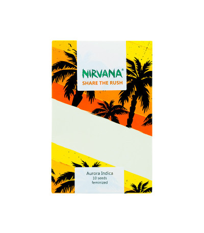 Семена сорта Aurora Indica fem (Nirvana Seeds)