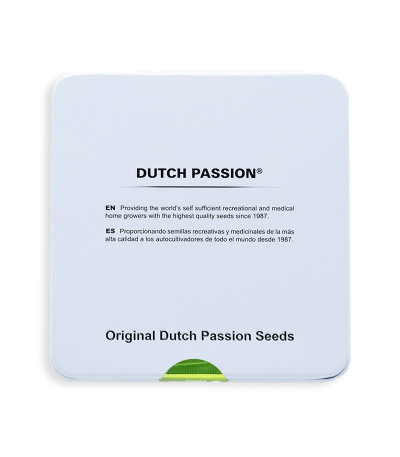 Семена сорта Lemon Zkittle fem (Dutch Passion)