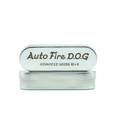Семена сорта Auto Fire DOG fem (Advanced Seeds)