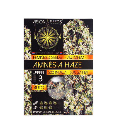 Семена сорта Amnesia Haze Auto Fem (Vision Seeds)