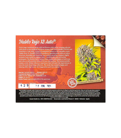 Семена сорта Diablo Rojo XL Auto fem (Sweet Seeds)