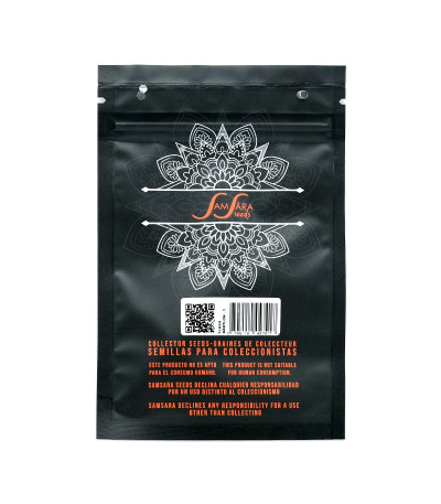 Семена сорта Flash Babylon Auto fem (Samsara Seeds)