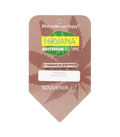Семена сорта Aurora Indica regular (Nirvana Seeds)