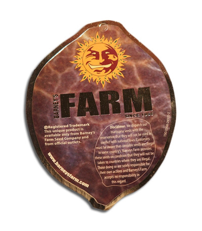 Семена сорта Grape Muerte Auto fem