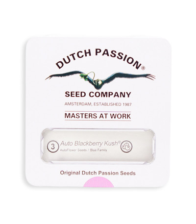 Семена марихуаны Auto Blackberry Kush в оригинальной упаковке