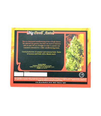 Семена сорта Big Devil Auto fem (Sweet Seeds)