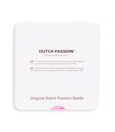 Семена сорта Auto Daiquiri Lime fem (Dutch Passion)